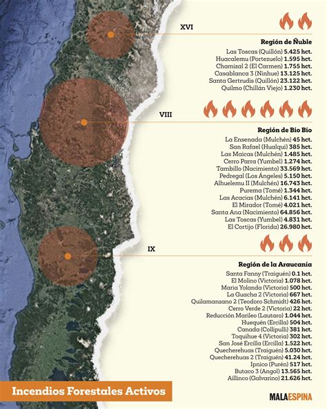incendio forestal chile 2024